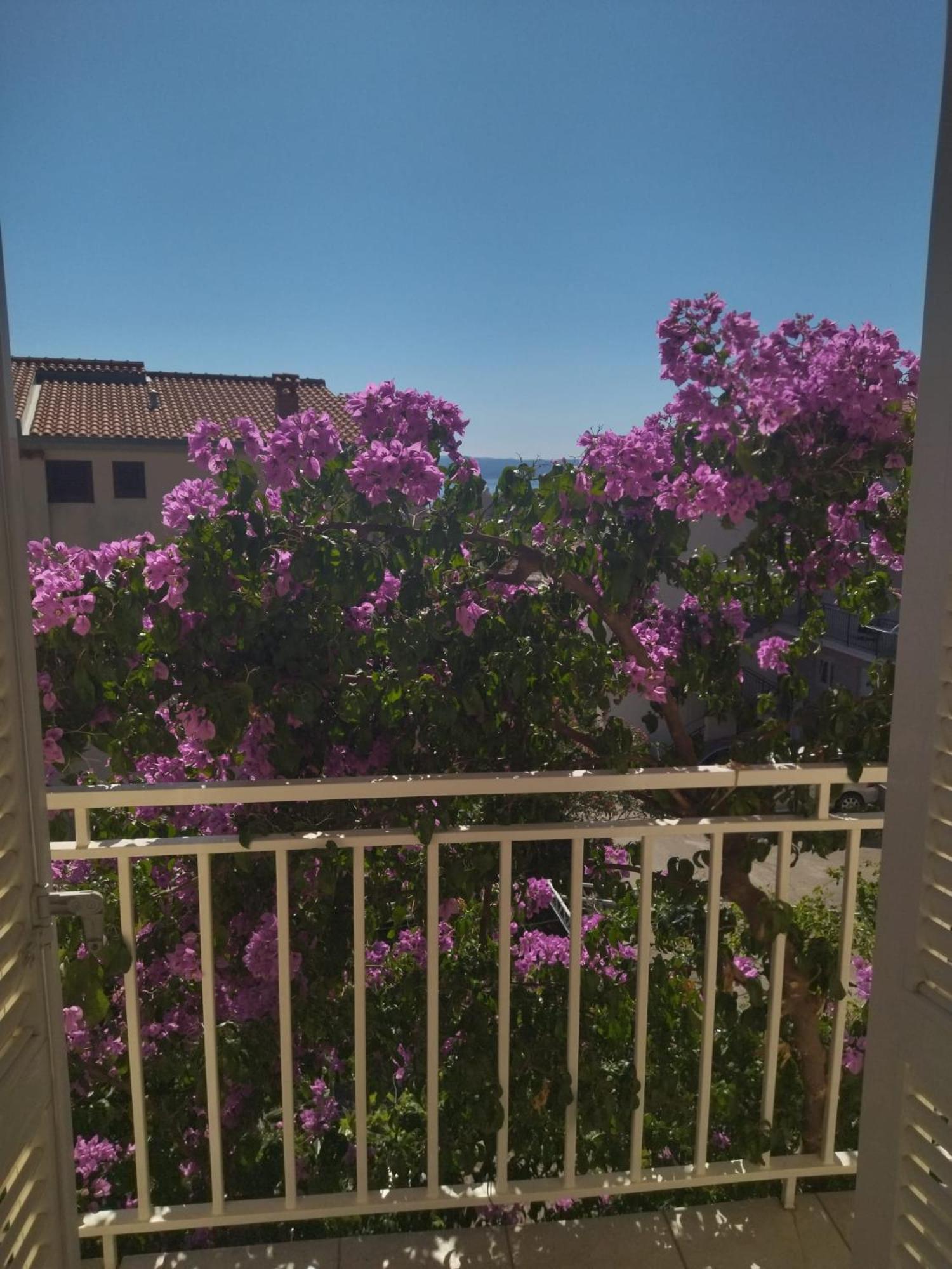 Apartmani Makarska Exterior photo
